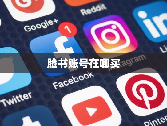 脸书账号在哪买
