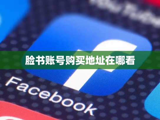 脸书账号购买地址在哪看