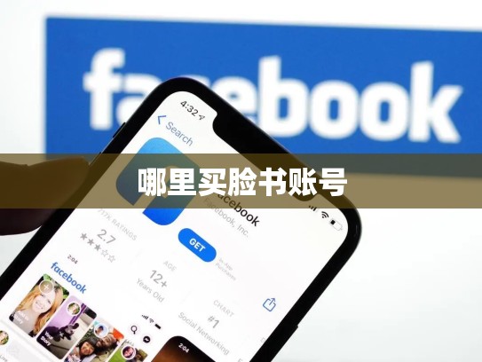 哪里买脸书账号