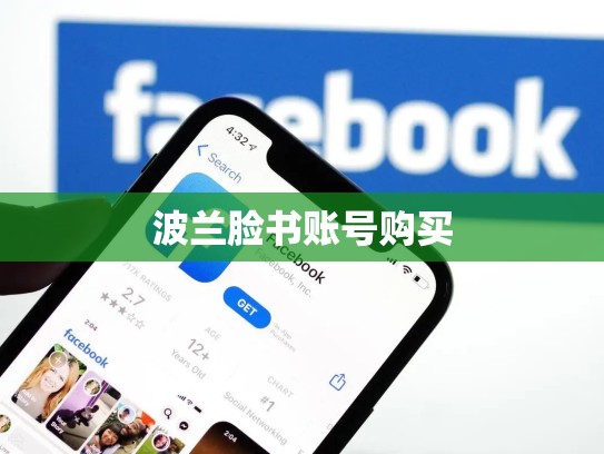 波兰脸书账号购买