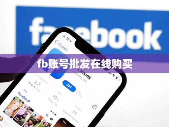 fb账号批发在线购买