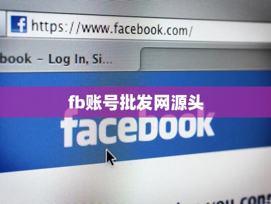 fb账号批发网源头