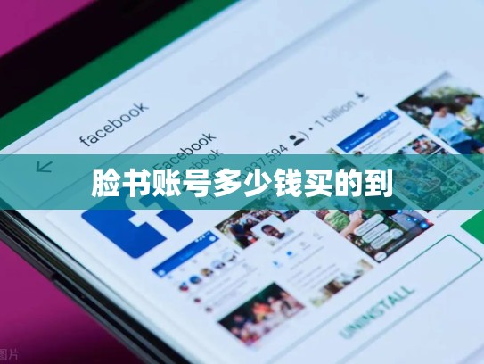 脸书账号多少钱买的到