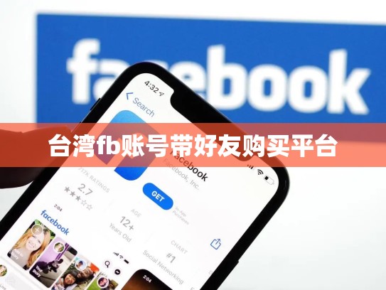 台湾fb账号带好友购买平台