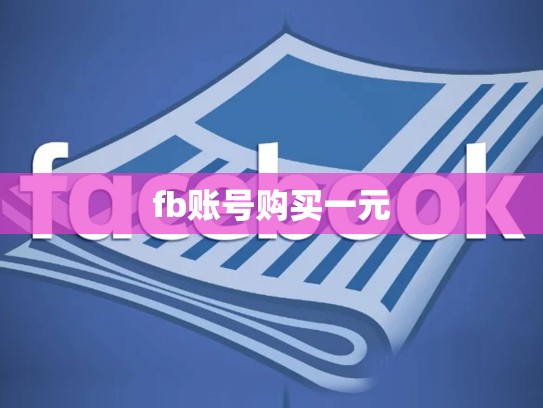 fb账号购买一元