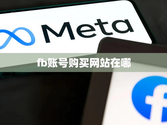 fb账号购买网站在哪