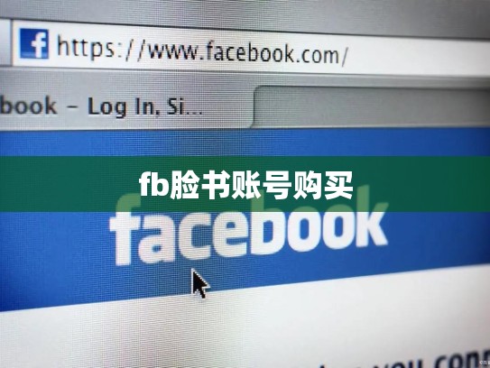 fb脸书账号购买