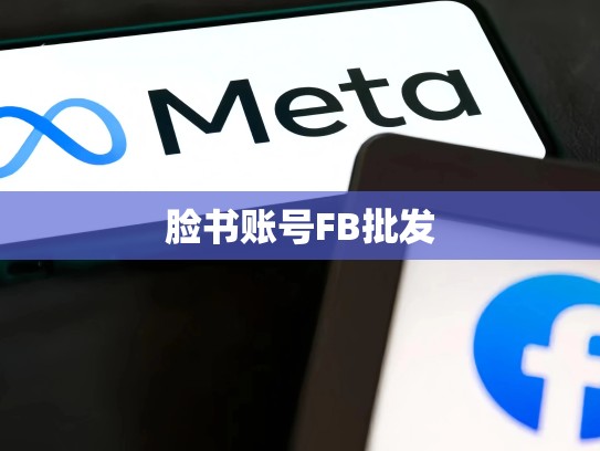 脸书账号FB批发