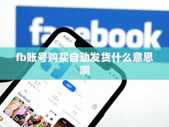 fb账号购买自动发货什么意思啊