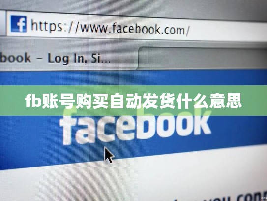 fb账号购买自动发货什么意思