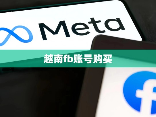 越南fb账号购买