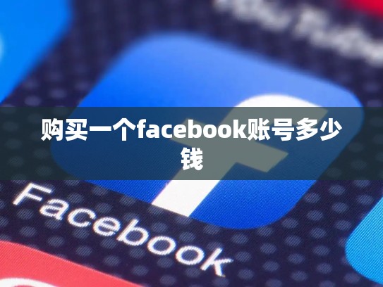 购买一个facebook账号多少钱