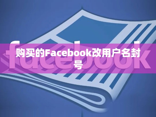 购买的Facebook改用户名封号