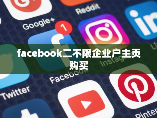 facebook二不限企业户主页购买