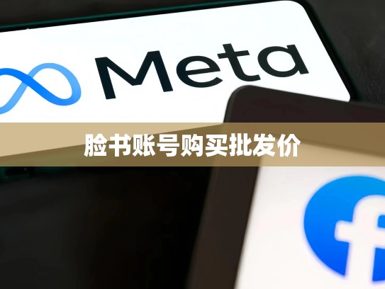 脸书账号购买批发价