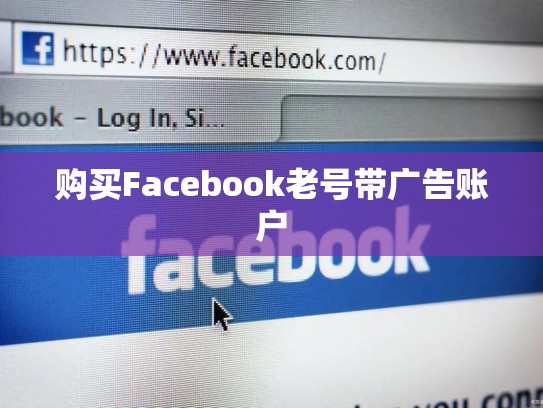 购买Facebook老号带广告账户