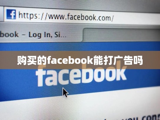 购买的facebook能打广告吗