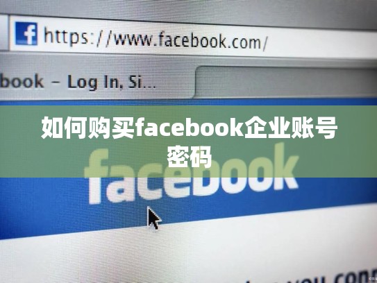 如何购买facebook企业账号密码
