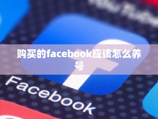 购买的facebook应该怎么养号
