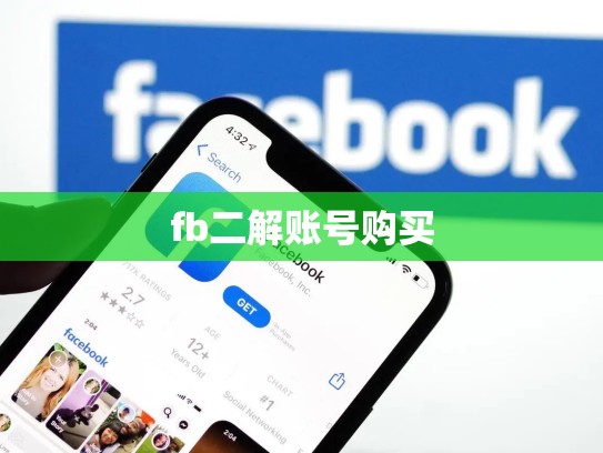 fb二解账号购买