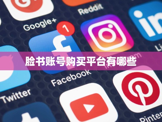 脸书账号购买平台有哪些