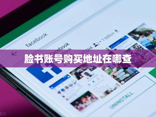 脸书账号购买地址在哪查