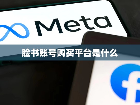 脸书账号购买平台是什么