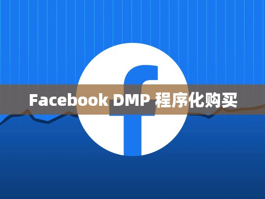 Facebook DMP 程序化购买