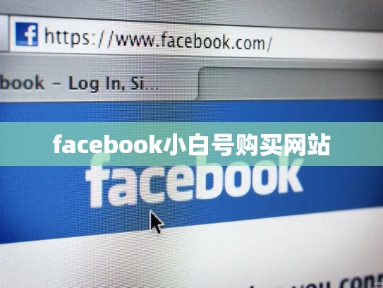 facebook小白号购买网站