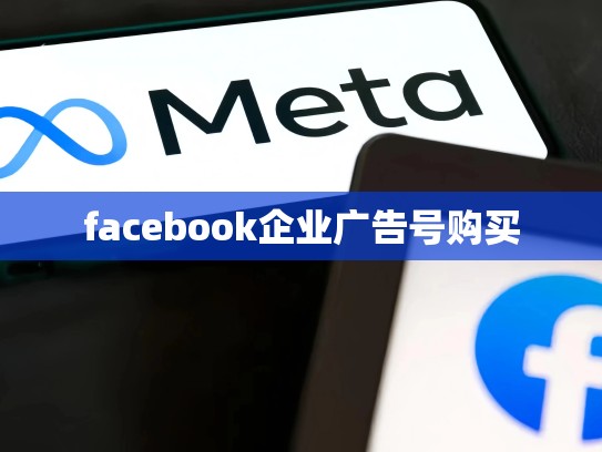 facebook企业广告号购买