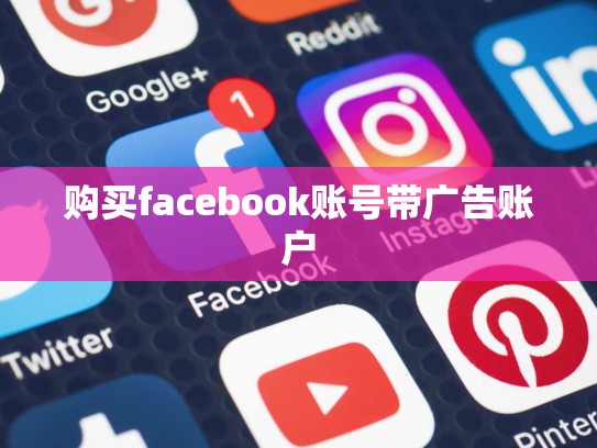 购买facebook账号带广告账户