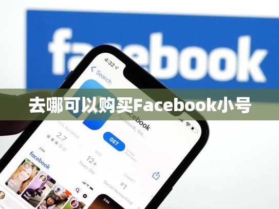 去哪可以购买Facebook小号