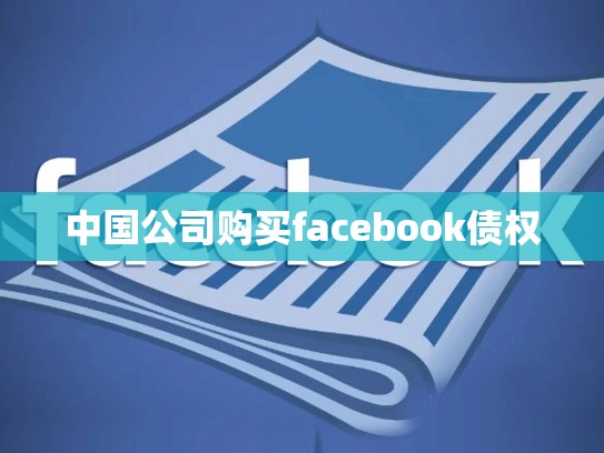 中国公司购买facebook债权