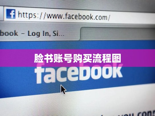 脸书账号购买流程图
