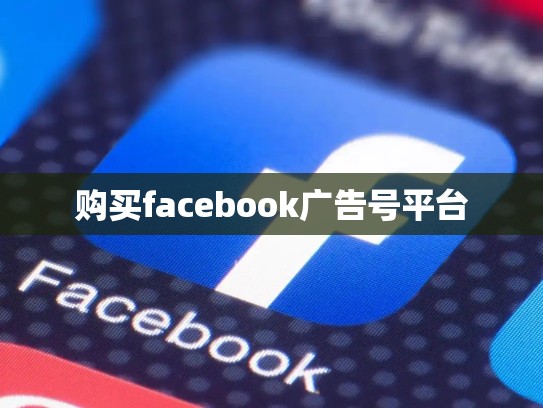 购买facebook广告号平台
