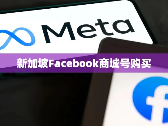 新加坡Facebook商城号购买