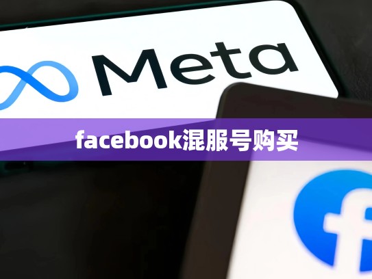 facebook混服号购买