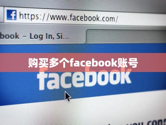 购买多个facebook账号