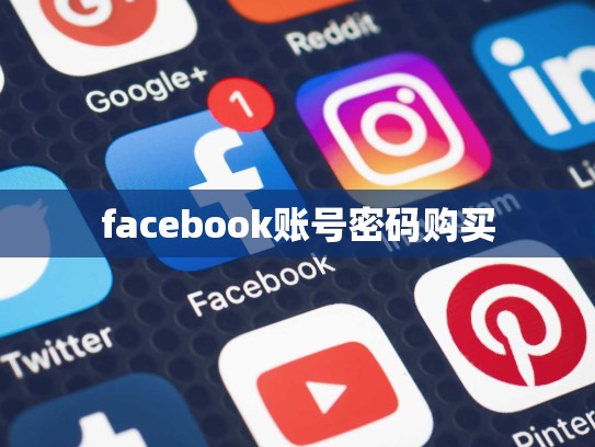 facebook账号密码购买