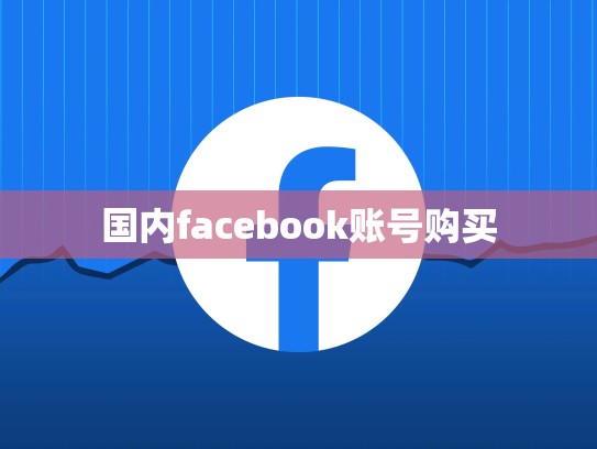 国内facebook账号购买