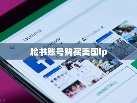 脸书账号购买美国lp