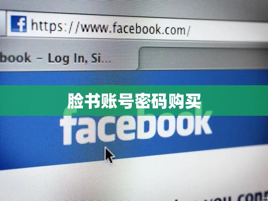 脸书账号密码购买