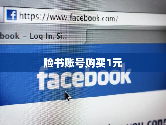 脸书账号购买1元