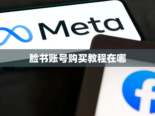 脸书账号购买教程在哪
