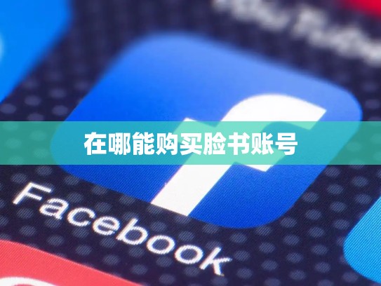 在哪能购买脸书账号