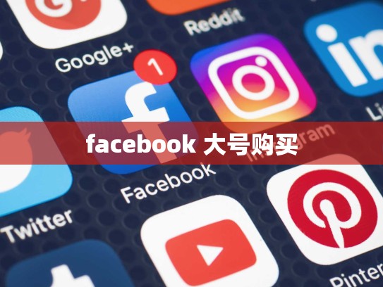 facebook 大号购买