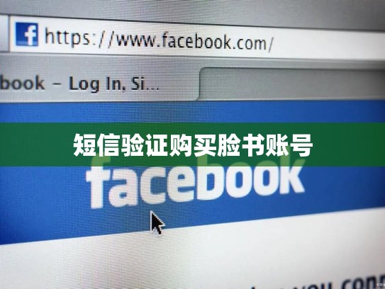 短信验证购买脸书账号