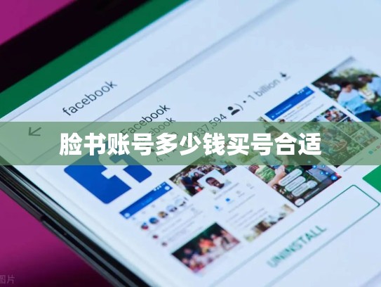 脸书账号多少钱买号合适