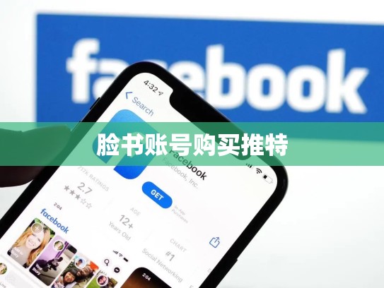 脸书账号购买推特