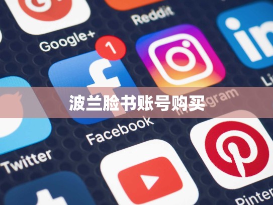 波兰脸书账号购买